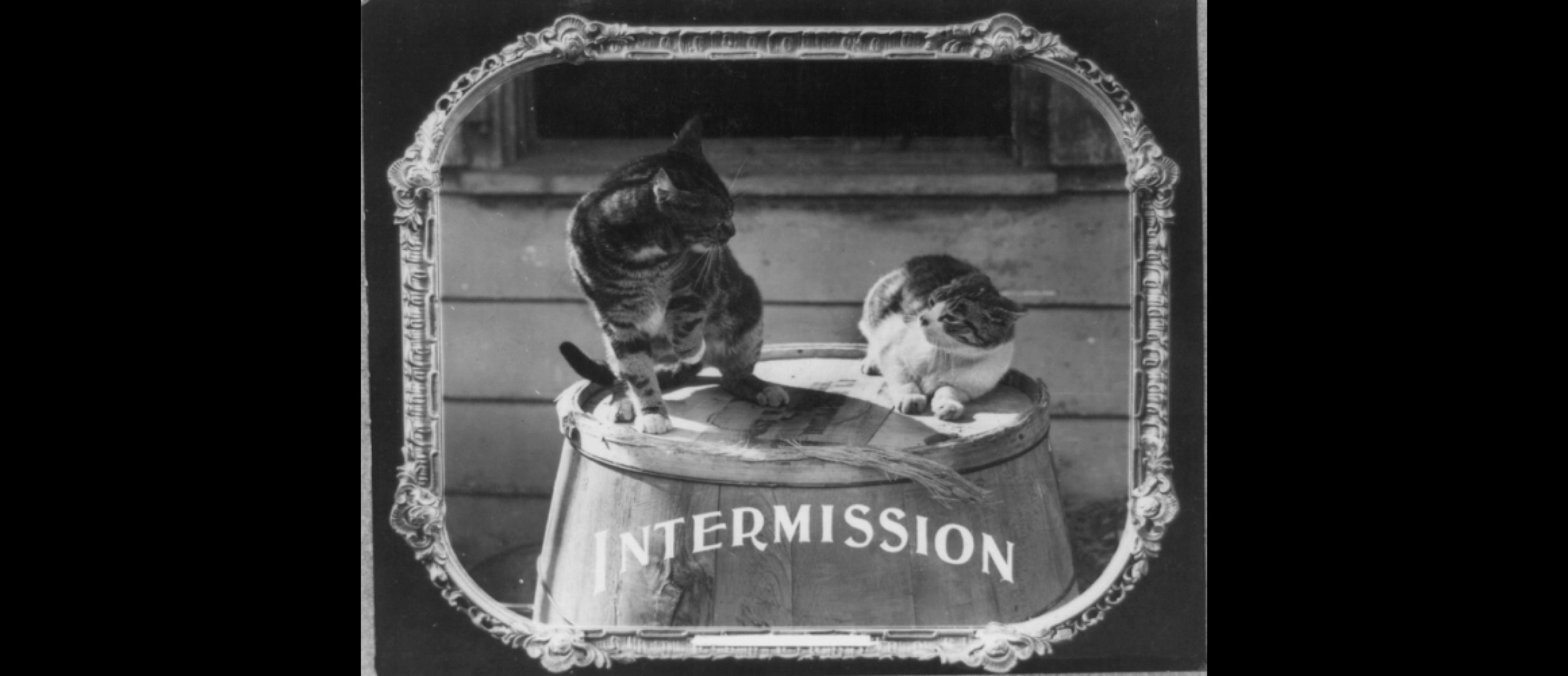 Work by UCLA Film and Television Archive