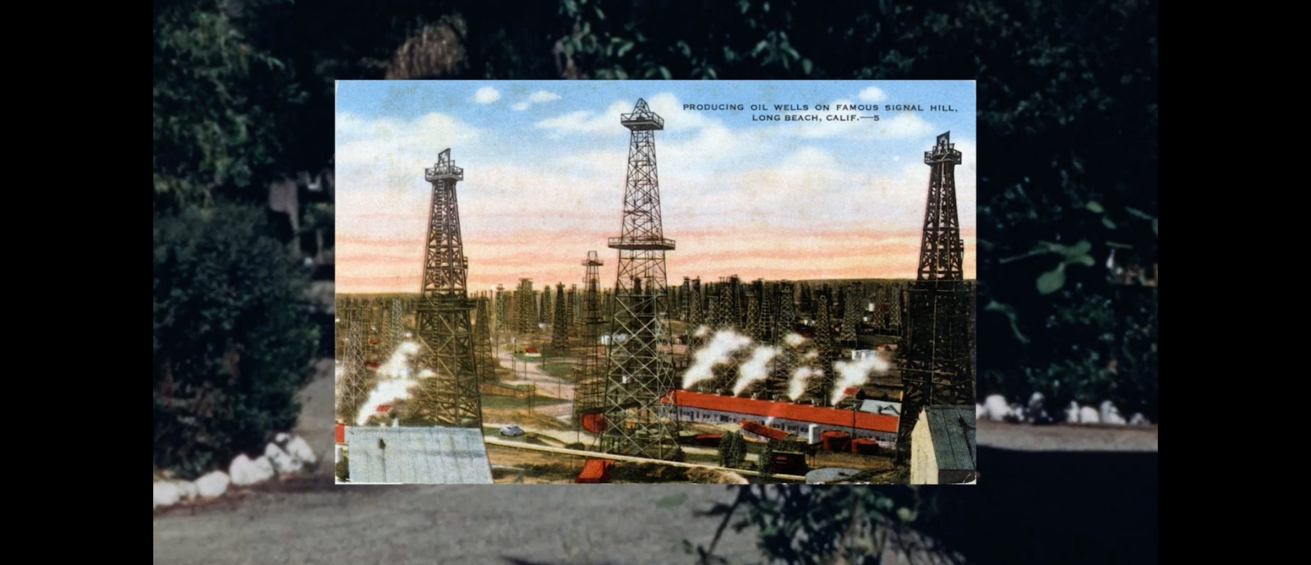 A vintage postcard depicting numerous oil wells.