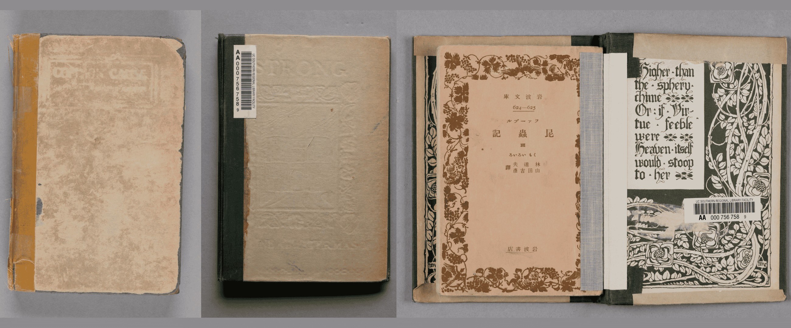 “Common Cause” cover on Kaeranu chūtai and “STRONG” cover on Fāburu konchūki / Hayashi Tatsuo, Yamada Yoshihiko yaku.ファーブル昆蟲記 / 林達夫, 山田吉彥譯. legible under white paper covers.