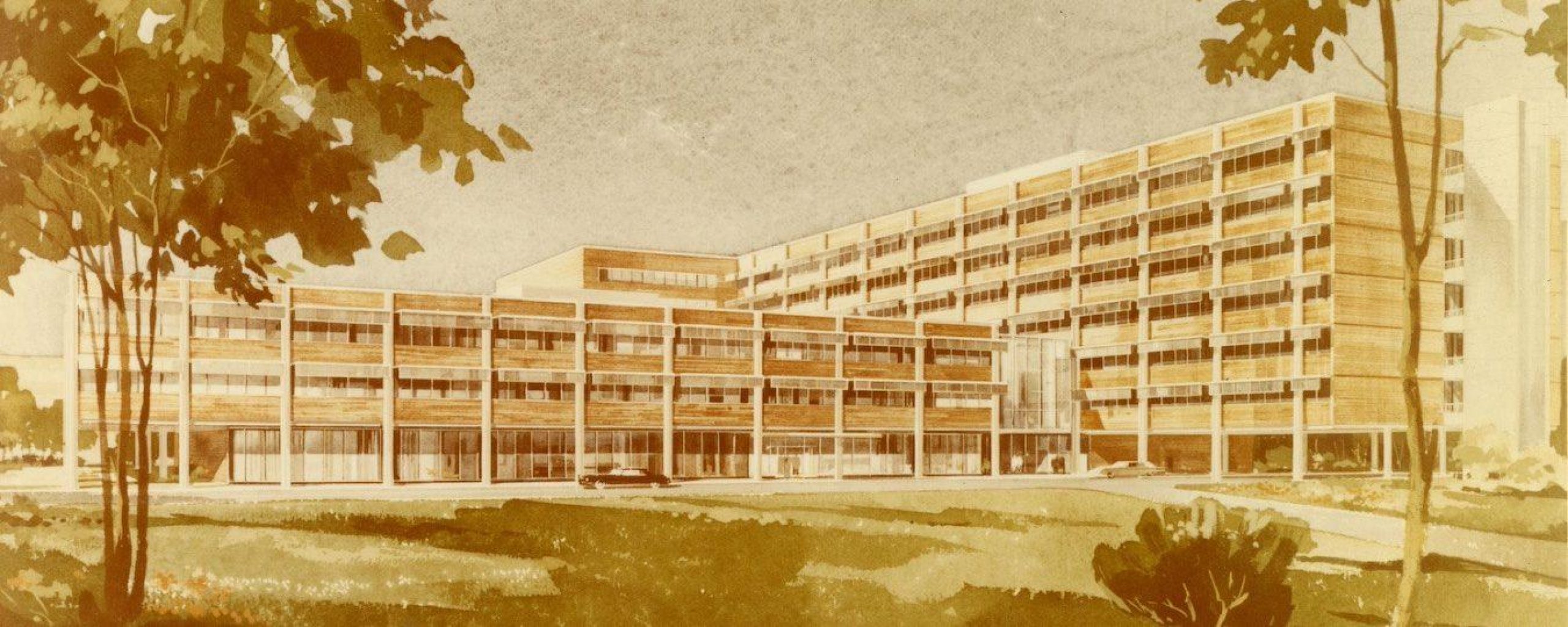 Preserving a different kind of dental record UCLA Library