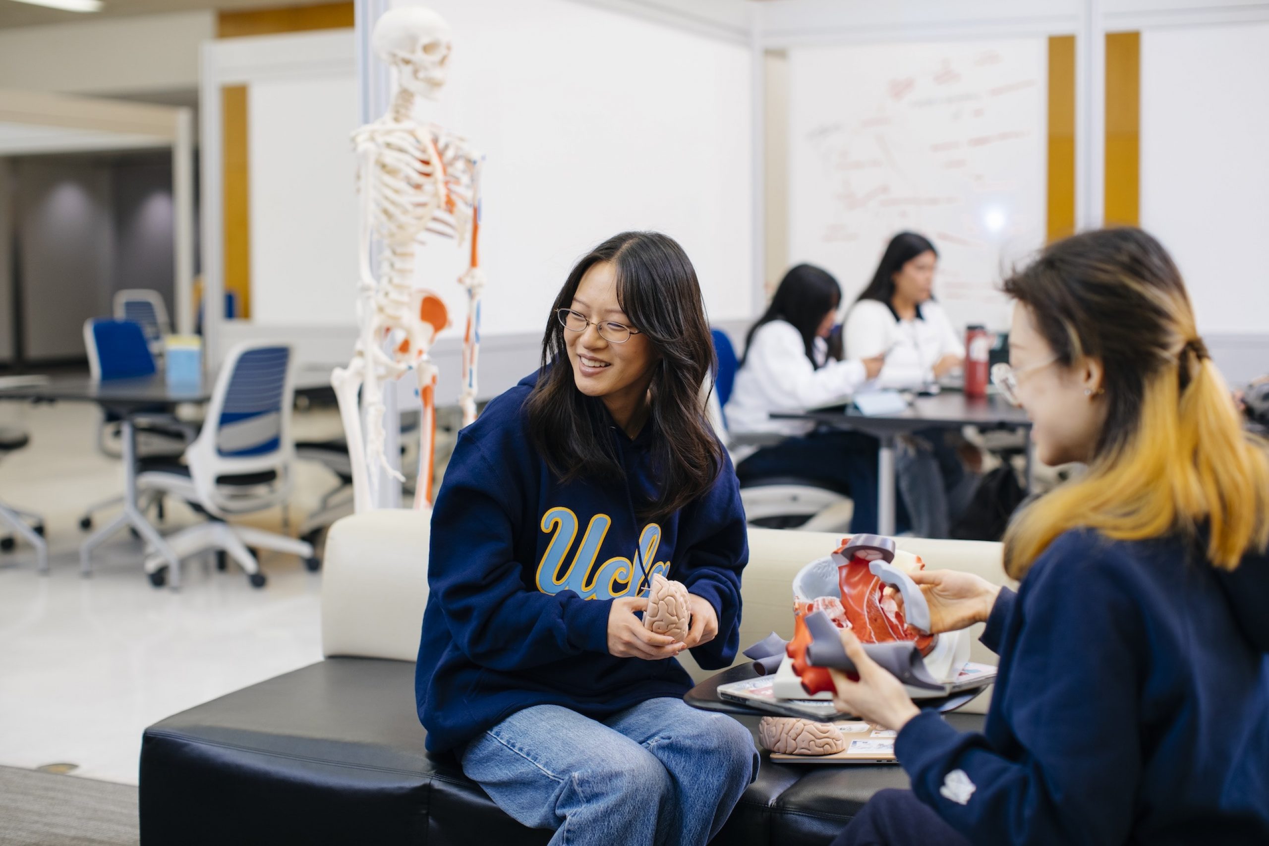 Two students smiling as they hold pieces of an anatomy kit