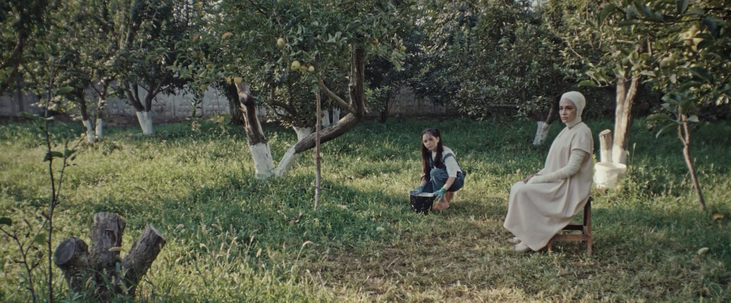 woman with head covering and young girl sitting in a grassy yard with trees