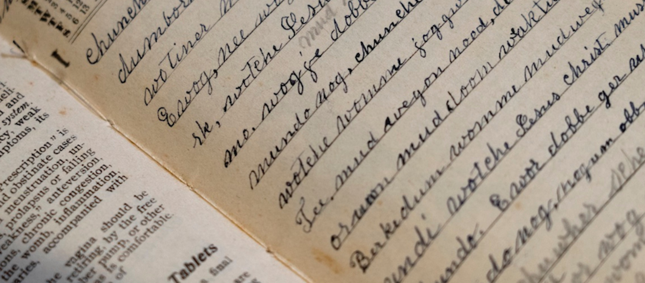 Fidelia Fielding diary / Photo credit: Cornell University