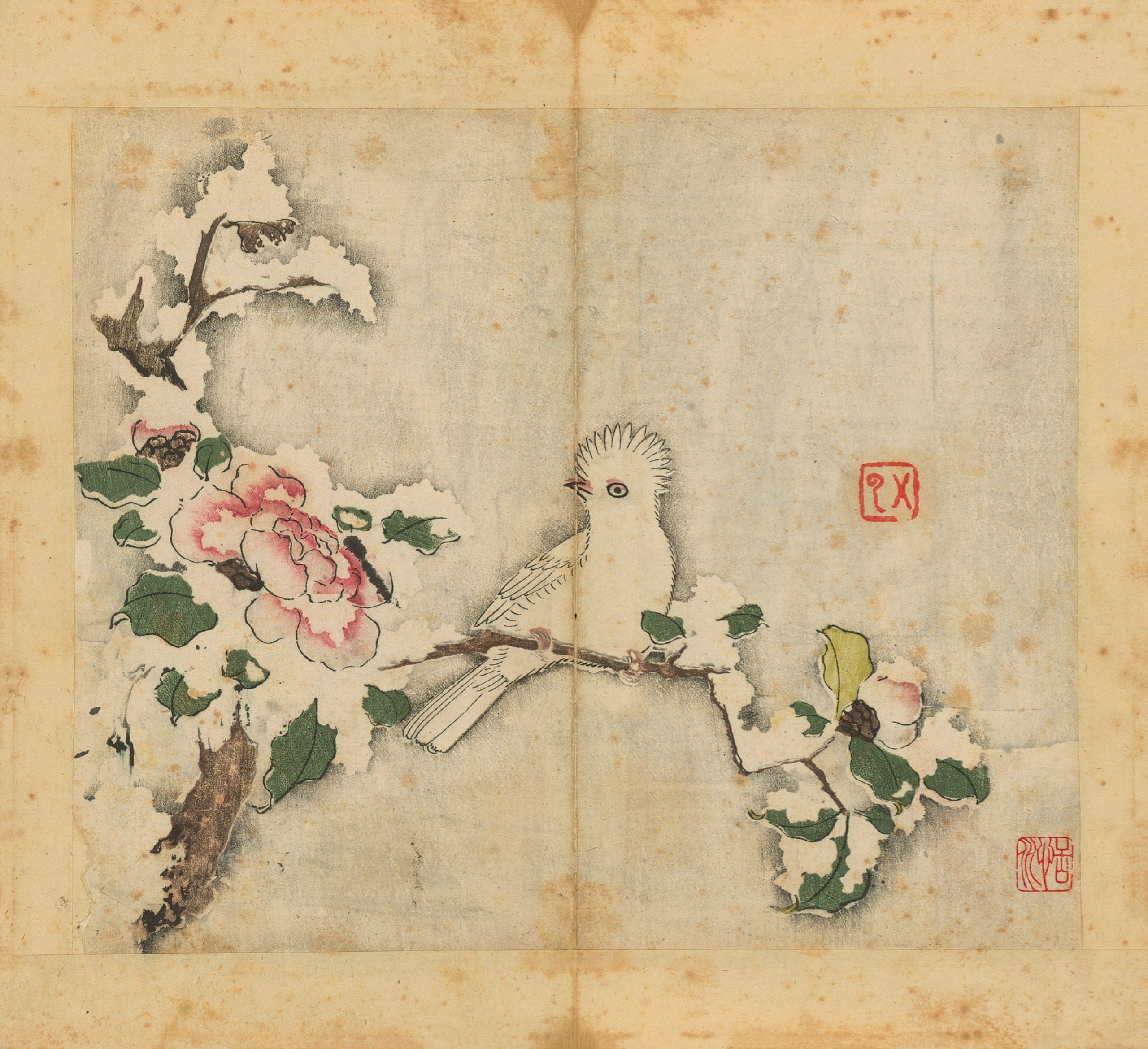 drawing of bird on a branch