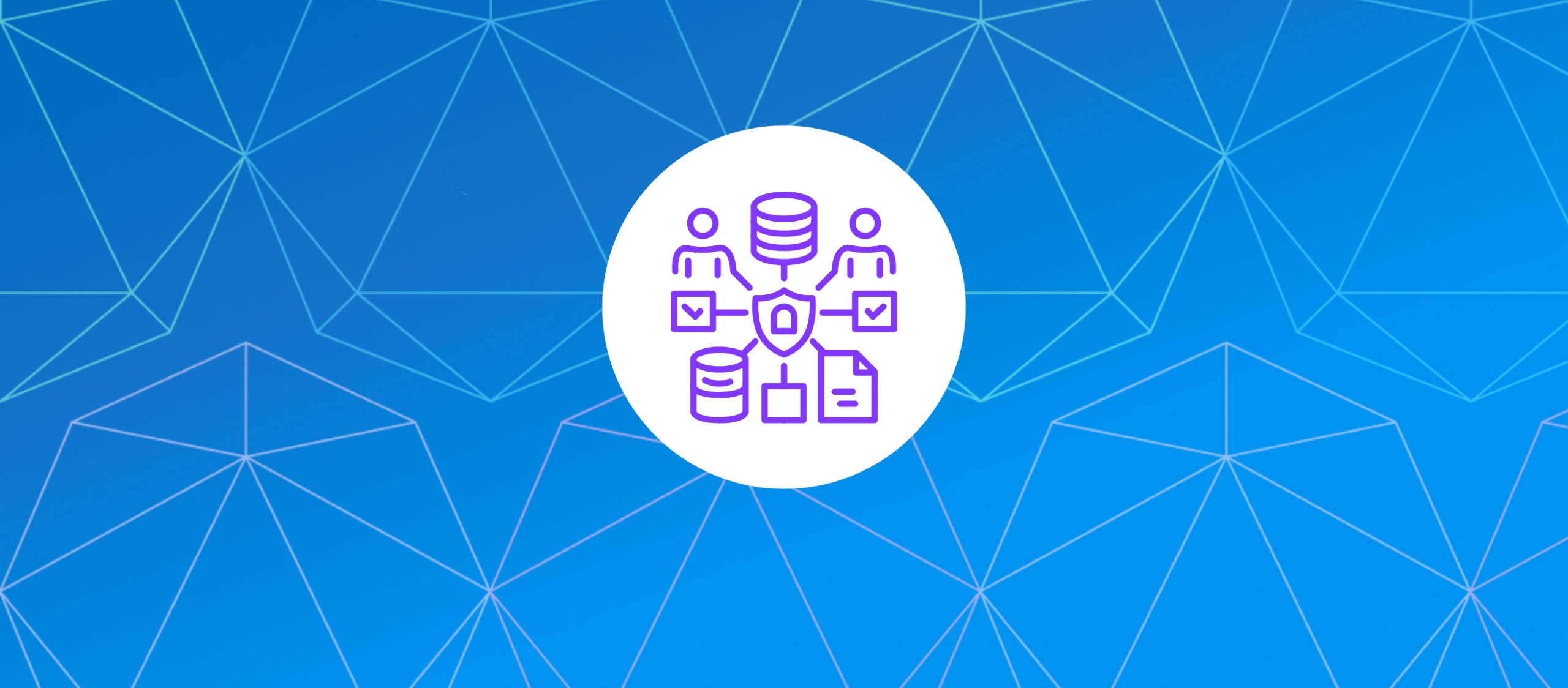 icon of people and data and checks and balances