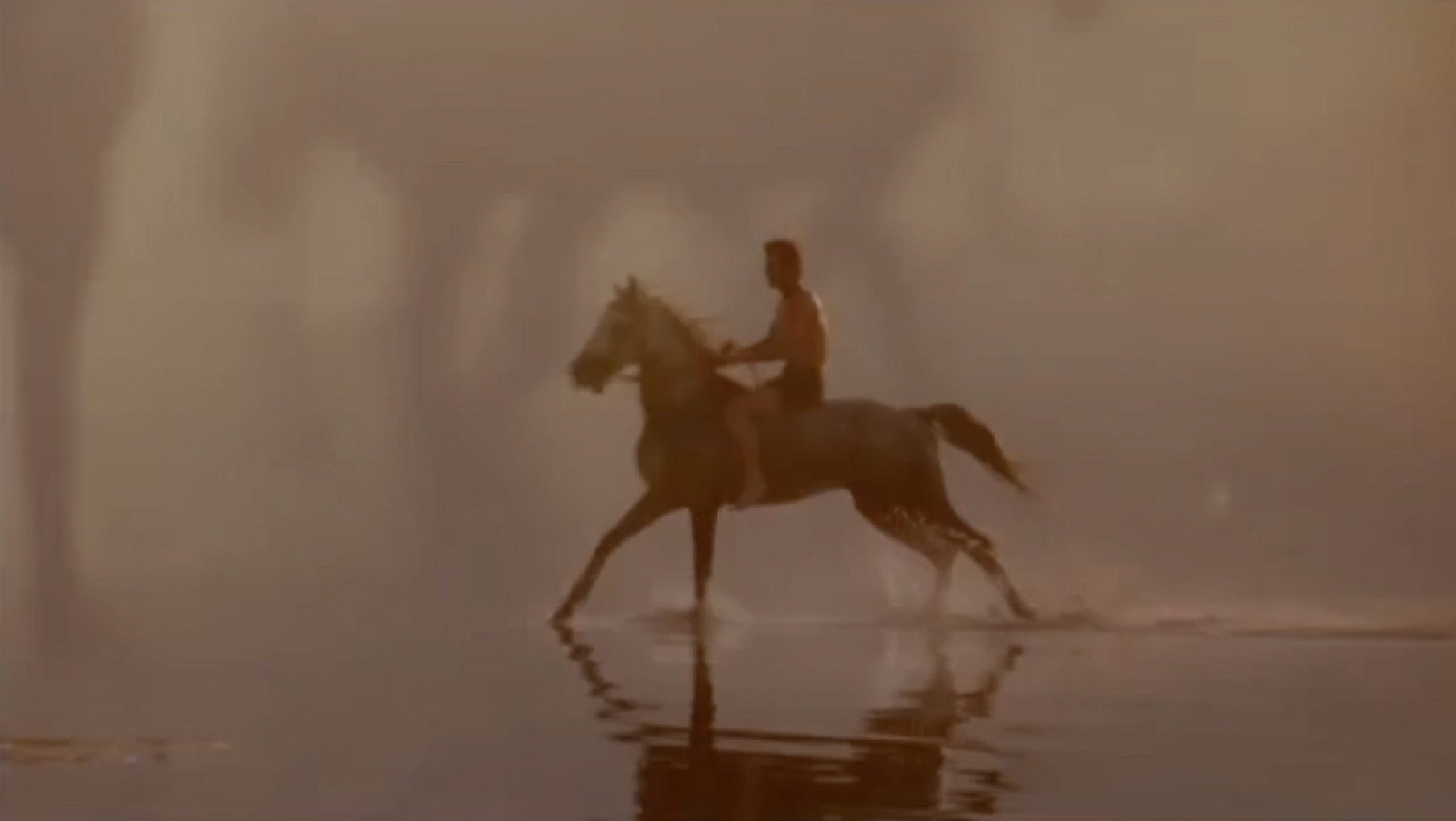 person riding a horse