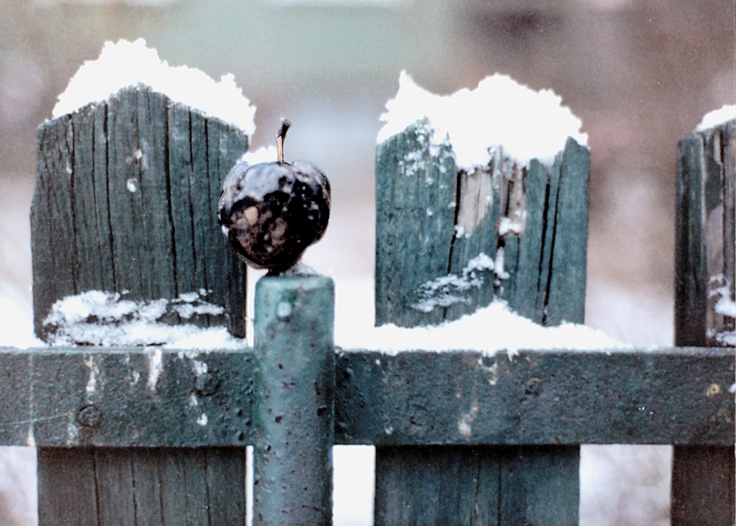 Still from "Light Years Expanding"