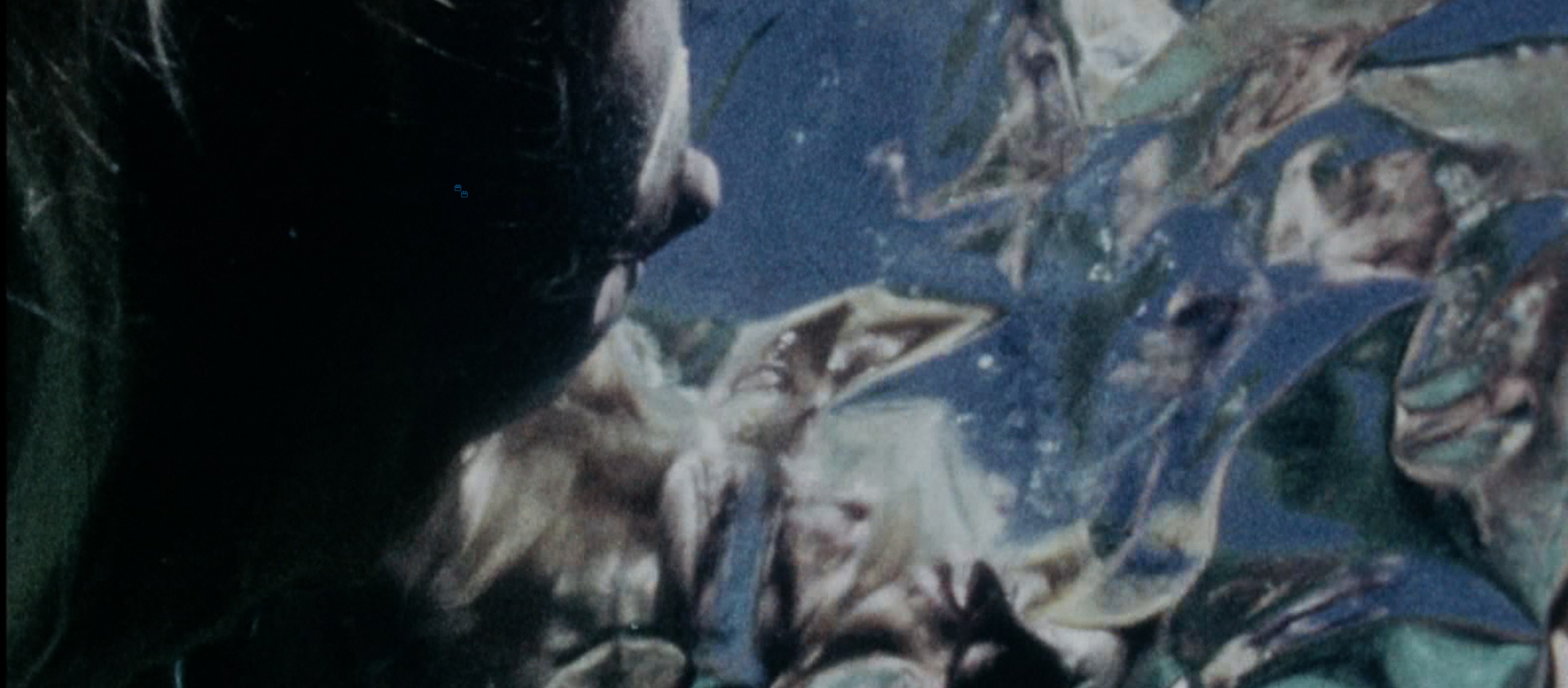 watery view of plants