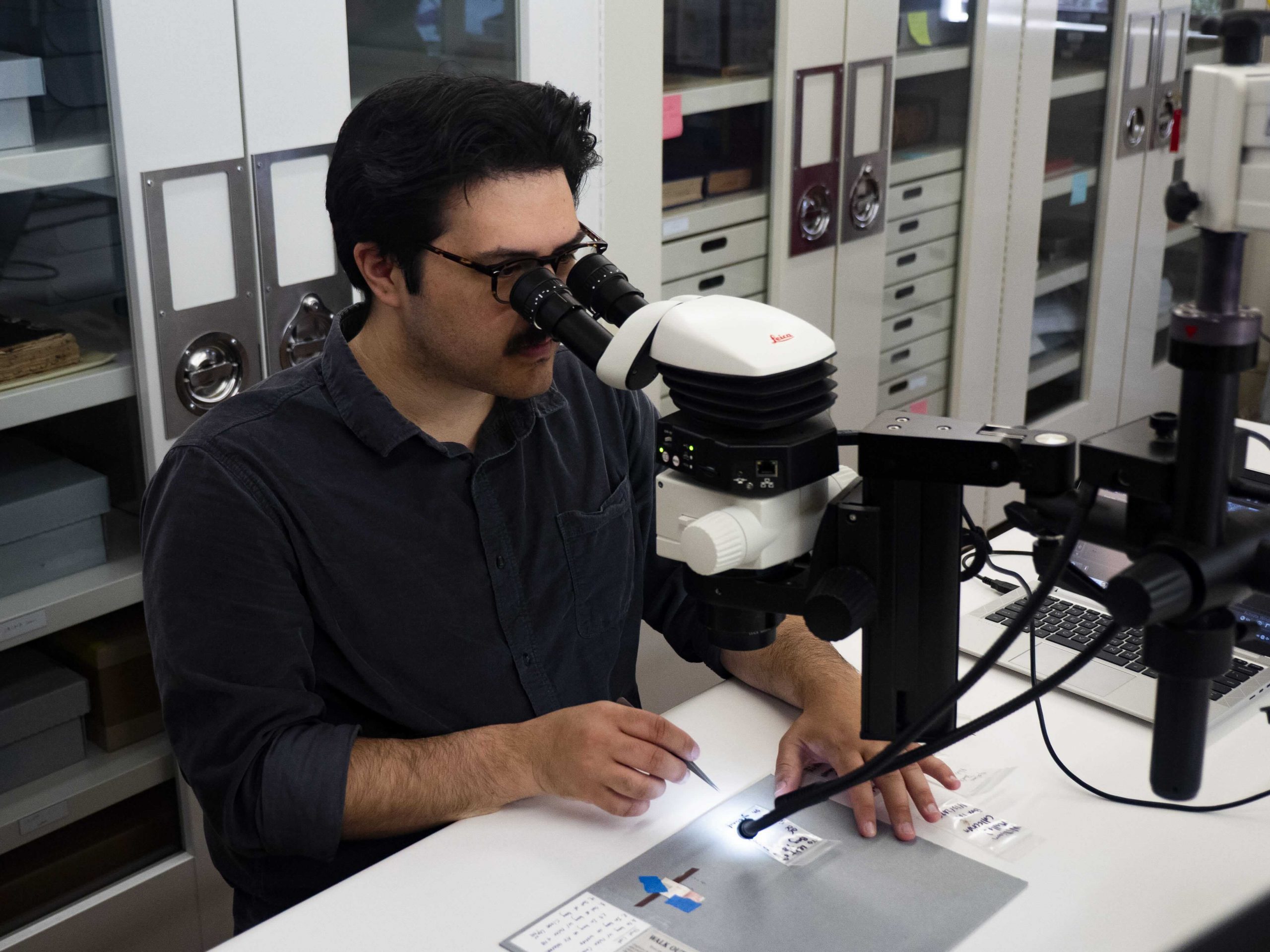 Ryan Interrente (‘26 MLIS) taking photos of a new specimen with the stereomicroscope