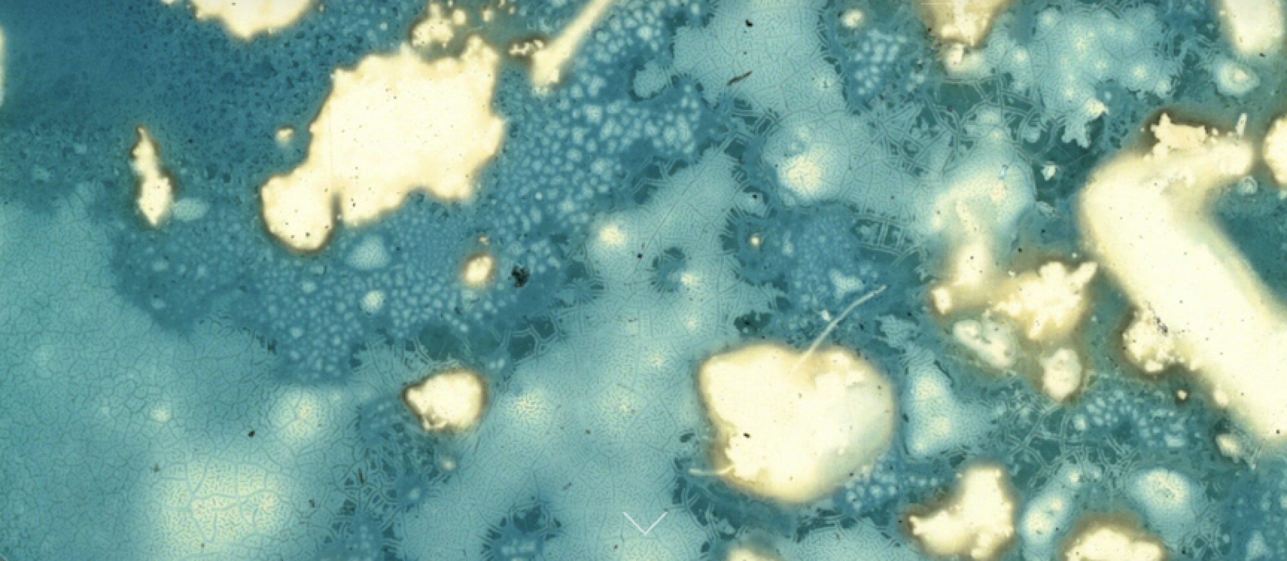 Nebulous shapes created by the cyanotype process