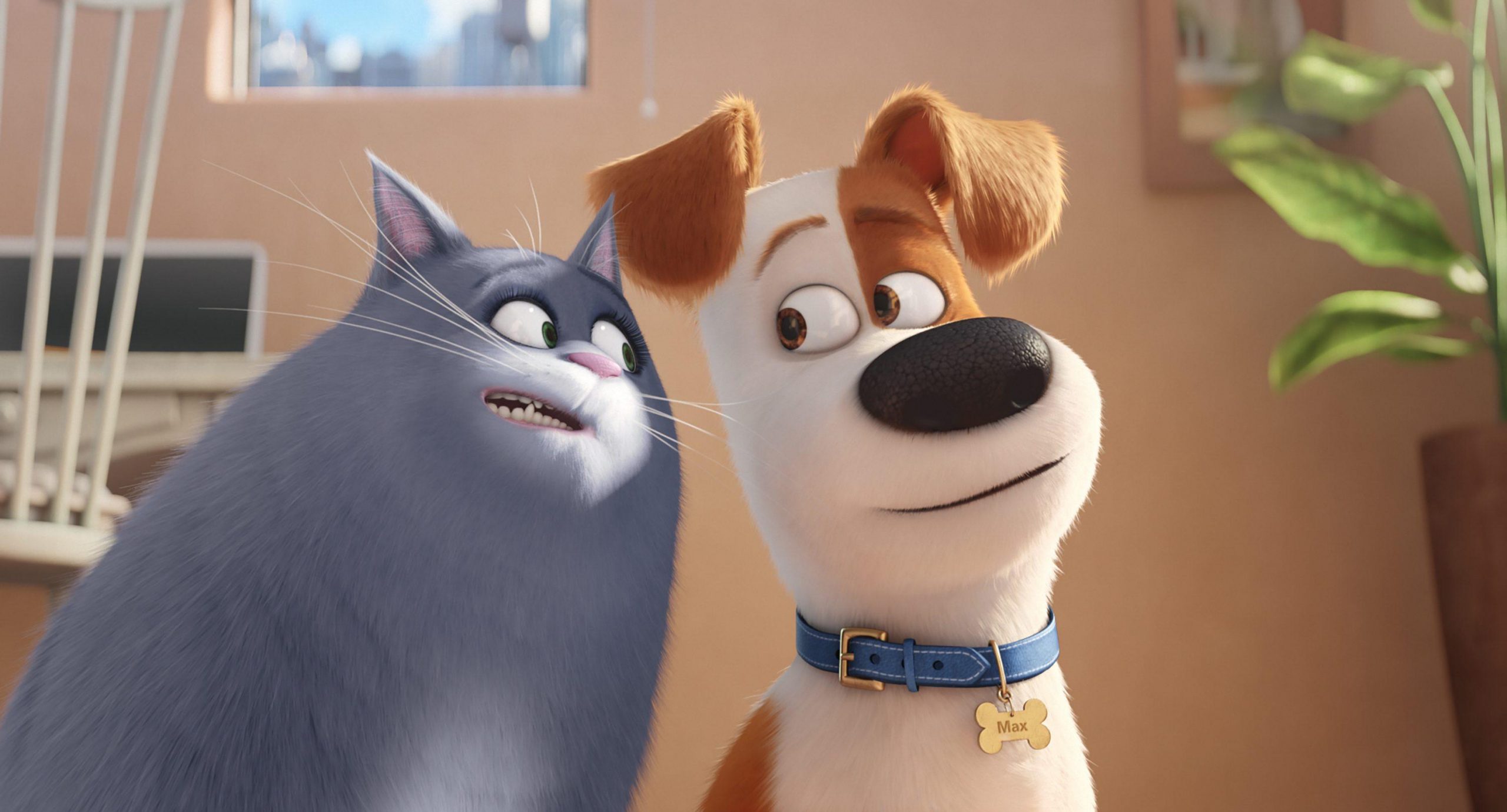 animated cat talking to animated dog