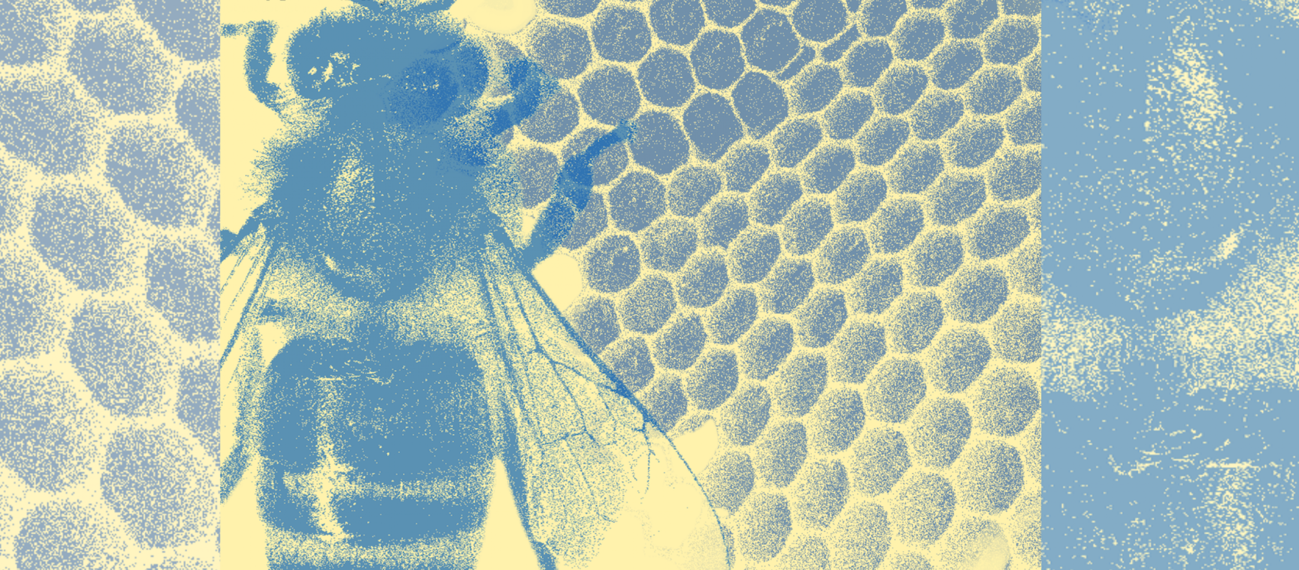 closeup of illustrated honeycomb and a bee