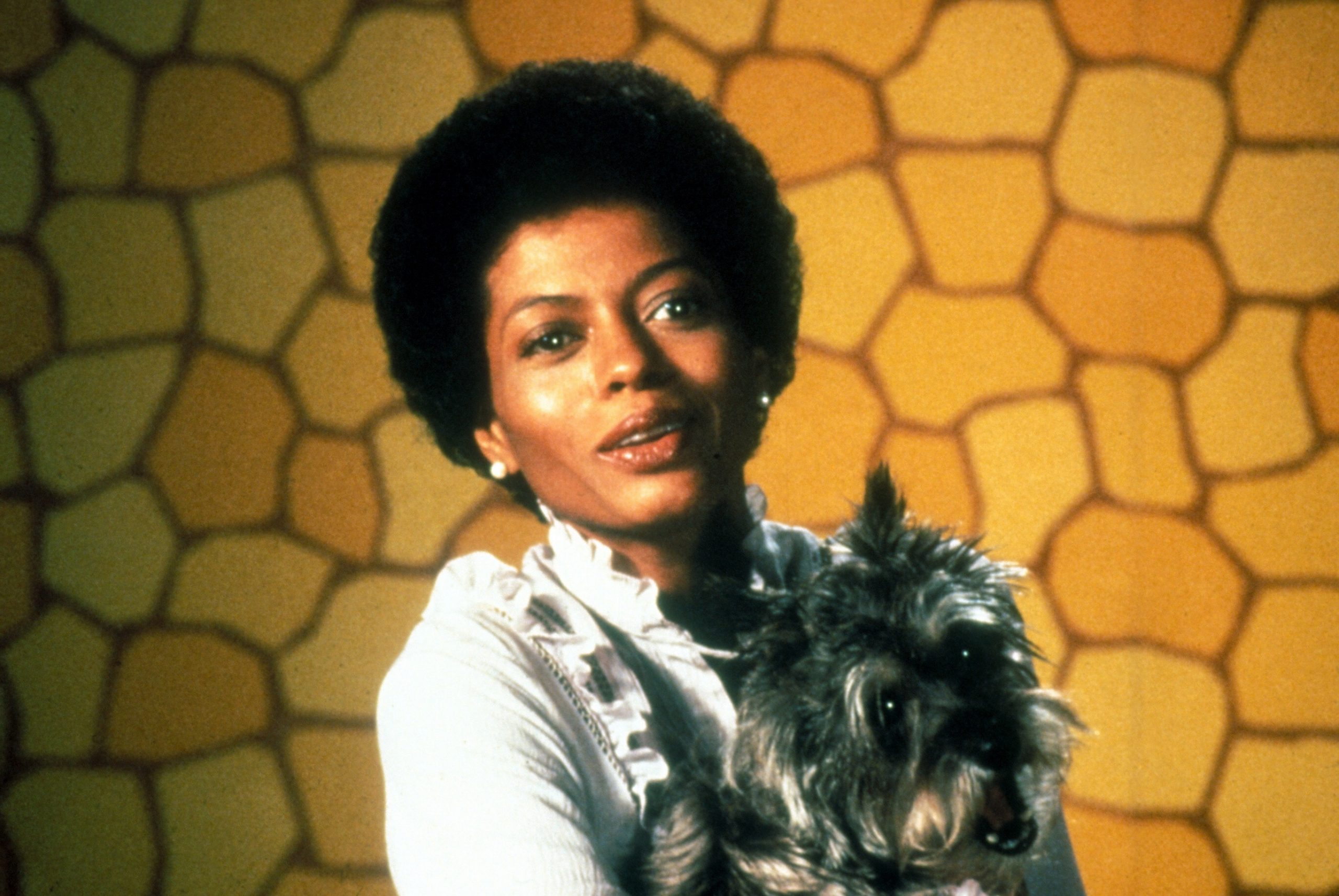 A woman with afro holding a dog