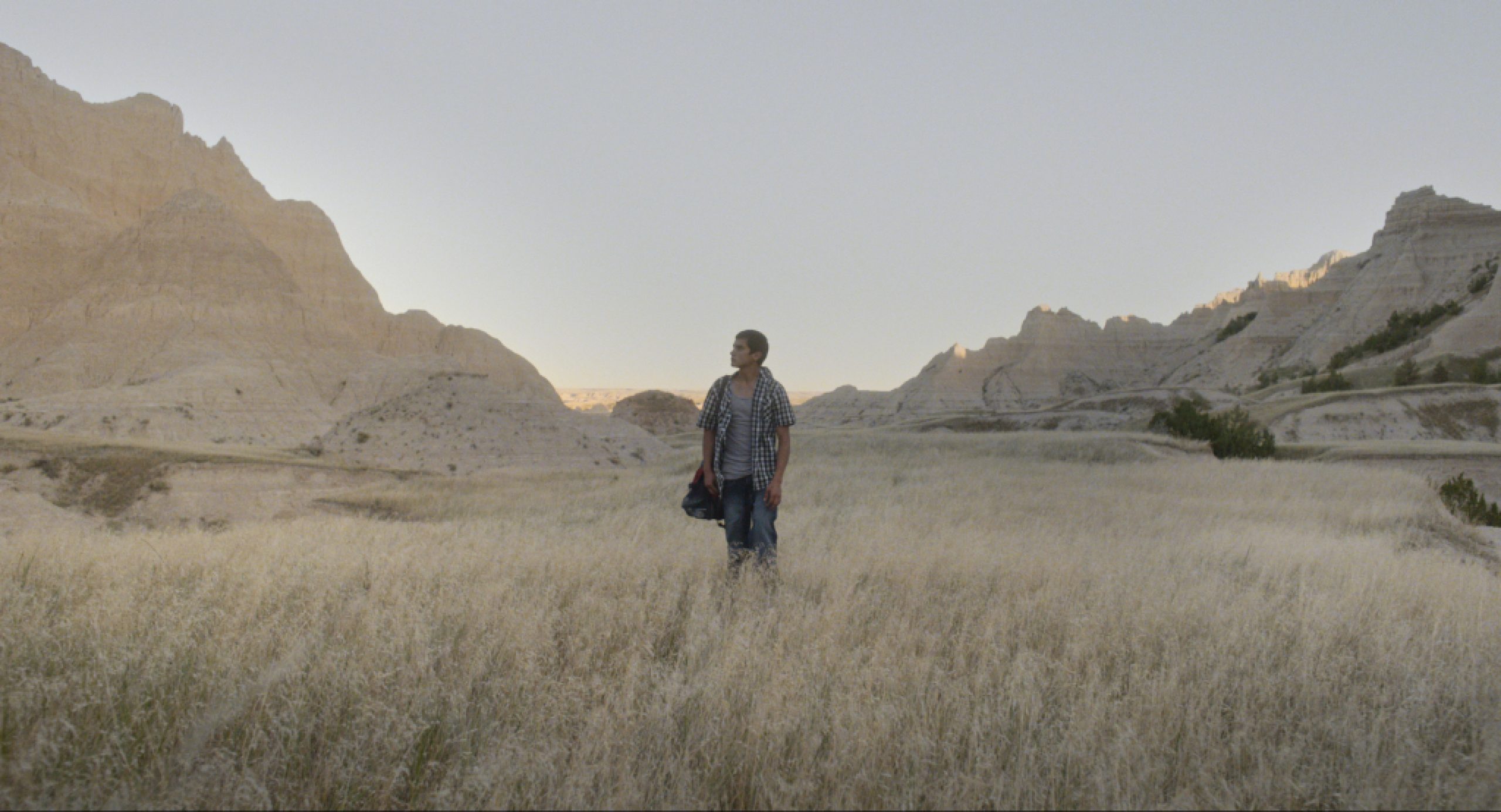figure standing alone in a desolate area with dried grassy stems blowing and rocky areas in the background